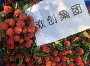 夏日好“枝”味，压球集团官网压球集团官网压球集团官网压球集团官网首页-压球(中国)-压球(中国)
集团发福“荔”啦